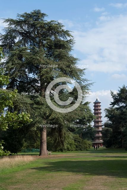 UK, London, Kew Gdns, 2009. Creator: Ethel Davies.