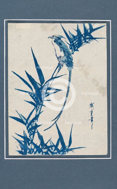 Ukiyo-e print - Bird on a branch in blue, c1820-1858. Artist: Ando Hiroshige.