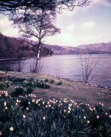 Ullswater, Lake District, c1955. Creator: Arthur Charles Kirby Ware