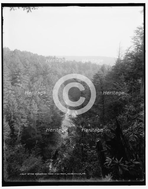 Up the Analomink from high rock, Henryville, Pa., between 1890 and 1901. Creator: Unknown.
