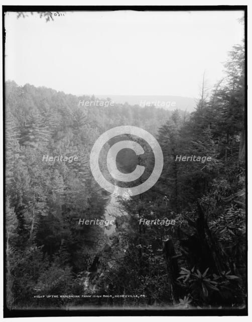 Up the Analomink from high rock, Henryville, Pa., between 1890 and 1901. Creator: Unknown.