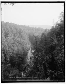 Up the Analomink from high rock, Henryville, Pa., between 1890 and 1901. Creator: Unknown
