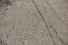 Uplaw Knowe palisaded settlement, Northumberland, 2015. Creator: Historic England