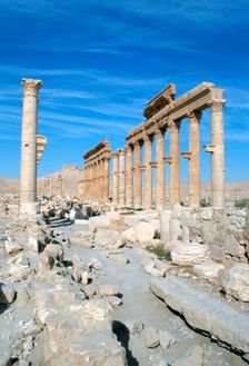 Upper Colonnade Street, Palmyra, Syria. Creator: Vivienne Sharp
