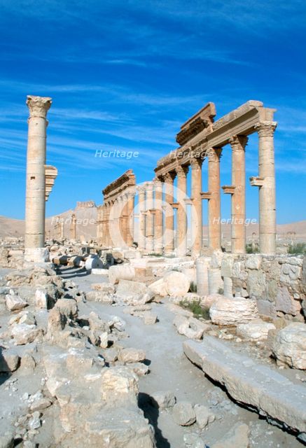 Upper Colonnade Street, Palmyra, Syria.  Creator: Vivienne Sharp.