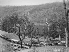 Upper Albert On the road, 1894. Creator: Poul C Poulsen