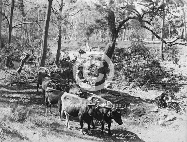 Upper Albert The last crossing, 1894. Creator: Poul C Poulsen.