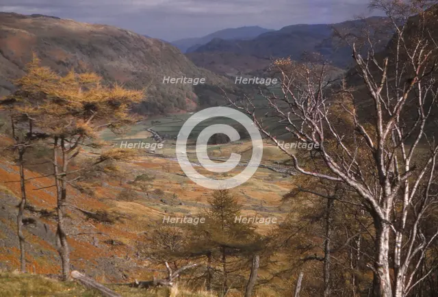 Upper Borrowdale valley in October, Lake District, Cumbria, 20th century. Artist: CM Dixon.