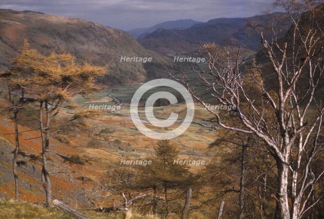 Upper Borrowdale valley in October, Lake District, Cumbria, 20th century. Artist: CM Dixon.