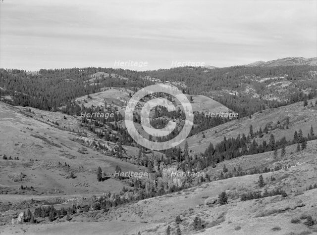 Upper end of Squaw Creek Valley..., Ola self-help sawmill co-op, Gem County, Idaho, 1939. Creator: Dorothea Lange.