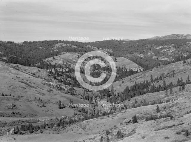 Upper end of Squaw Creek Valley..., Ola self-help sawmill co-op, Gem County, Idaho, 1939. Creator: Dorothea Lange.