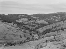 Upper end of Squaw Creek Valley..., Ola self-help sawmill co-op, Gem County, Idaho, 1939. Creator: Dorothea Lange