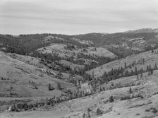 Upper end of Squaw Creek Valley..., Ola self-help sawmill co-op, Gem County, Idaho, 1939. Creator: Dorothea Lange