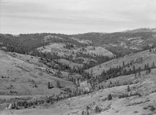 Upper end of Squaw Creek Valley..., Ola self-help sawmill co-op, Gem County, Idaho, 1939. Creator: Dorothea Lange