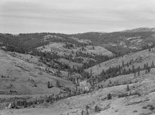 Upper end of Squaw Creek Valley..., Ola self-help sawmill co-op, Gem County, Idaho, 1939. Creator: Dorothea Lange