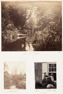Upper Lake, Penllergare; Rhododendrons; Brome, Morphine Tuff, 1853-56. Creator: James Knight