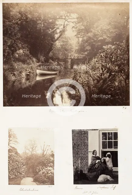 Upper Lake, Penllergare; Rhododendrons; Brome, Morphine Tuff, 1853-56. Creator: James Knight.