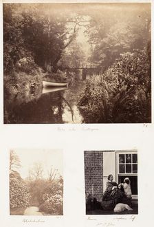 Upper Lake, Penllergare; Rhododendrons; Brome, Morphine Tuff, 1853-56. Creator: James Knight