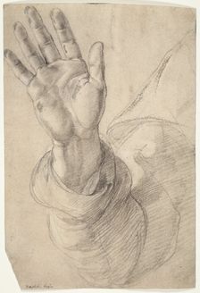 Upraised Right Hand, with Palm Facing Outward: Study for Saint Peter, 1518/20. Creator: Raphael
