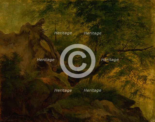 Uprooted tree, 1860-1870. Creator: Jozef Bozetech Klemens.
