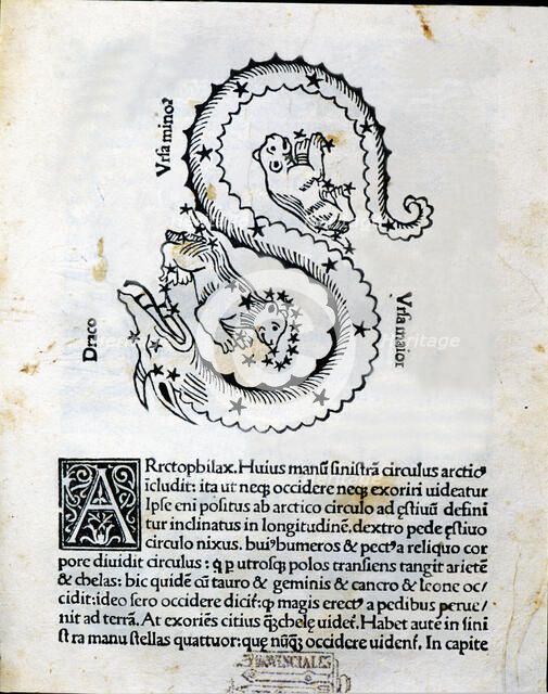 Ursa Major, Ursa Minor and Dragon, mithological interpretation of the constellations, engraving i…