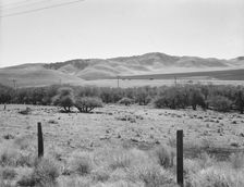 U.S. 99 on ridge over Tehachapi Mountains, 1939. Creator: Dorothea Lange