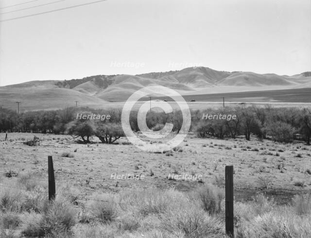 U.S. 99 on ridge over Tehachapi Mountains, 1939. Creator: Dorothea Lange.