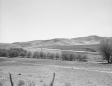 U.S. 99 on ridge over Tehachapi Mountains, 1939. Creator: Dorothea Lange