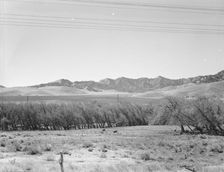U.S. 99, on ridge over Tehachapi Mountains, 1939. Creator: Dorothea Lange