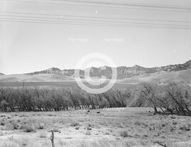 U.S. 99, on ridge over Tehachapi Mountains, 1939. Creator: Dorothea Lange.