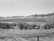 U.S. 99, on ridge over Tehachapi Mountains, 1939. Creator: Dorothea Lange