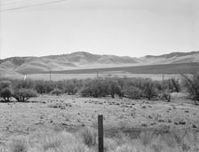 U.S. 99 on ridge over Tehachapi Mountains, 1939. Creator: Dorothea Lange
