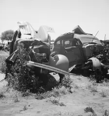 Used car lots and auto wrecking establishments, U.S. 99, Near Tulare, California, 1939. Creator: Dorothea Lange
