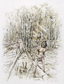 Uses of flint- coppicing, Prehistoric, (c1990-2010). Artist: Peter Dunn