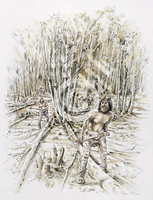 Uses of flint- coppicing, Prehistoric, (c1990-2010). Artist: Peter Dunn.