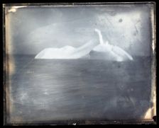 USFC Steamer "Albatross" Survey of Fishing Banks from Newport to Newfoundland, 1885. Creator: United States National Museum Photographic Laboratory