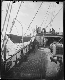 USFC Steamer "Albatross" Survey of Fishing Banks from Newport to Newfoundland, 1885. Creator: United States National Museum Photographic Laboratory