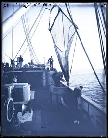 USFC Steamer "Albatross" Survey of Fishing Banks from Newport to Newfoundland, 1885. Creator: United States National Museum Photographic Laboratory