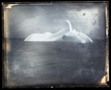 USFC Steamer "Albatross" Survey of Fishing Banks from Newport to Newfoundland, 1885. Creator: United States National Museum Photographic Laboratory