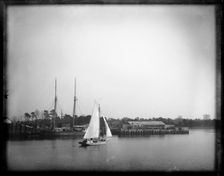 USFC Steamer "Albatross" Survey of the Bahamas, 1886. Creator: United States National Museum Photographic Laboratory