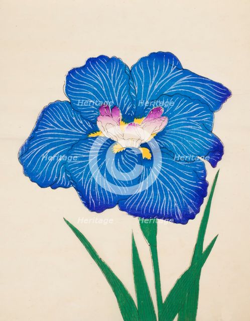 Ushio-No-Kemuri, No. 47, 1890, (colour woodblock print)