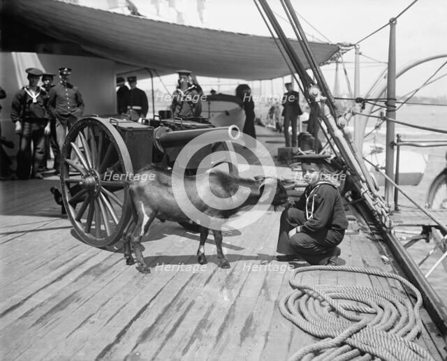 U.S.S. New York, Admiral Sampson's son and "Pitch" the mascot, (1899?). Creator: Unknown.