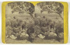 Utah Ute Indian and Lady "Courting" in N.E. Utah, from the U.S. Topographical and Geo..., 1871/74. Creator: John Karl Hillers