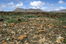 Volcanic landscape, Malpais Grande, Fuerteventura, Canary Islands. Creator: Peter Thompson
