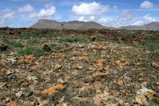 Volcanic landscape, Malpais Grande, Fuerteventura, Canary Islands. Creator: Peter Thompson