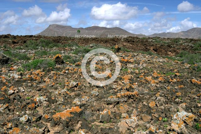 Volcanic landscape, Malpais Grande, Fuerteventura, Canary Islands. Creator: Peter Thompson.
