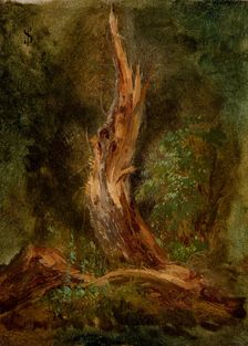 Volhynian Forest, c1864. Creator: Jozef Szermentowski