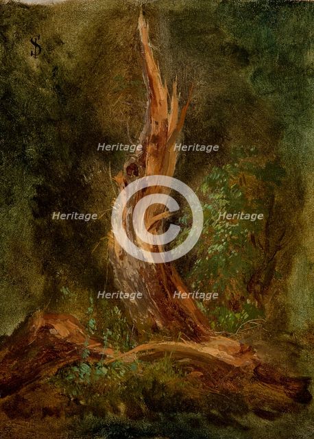 Volhynian Forest, c1864. Creator: Jozef Szermentowski.