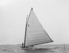 Volsung, 1897 June 29. Creator: John S Johnston