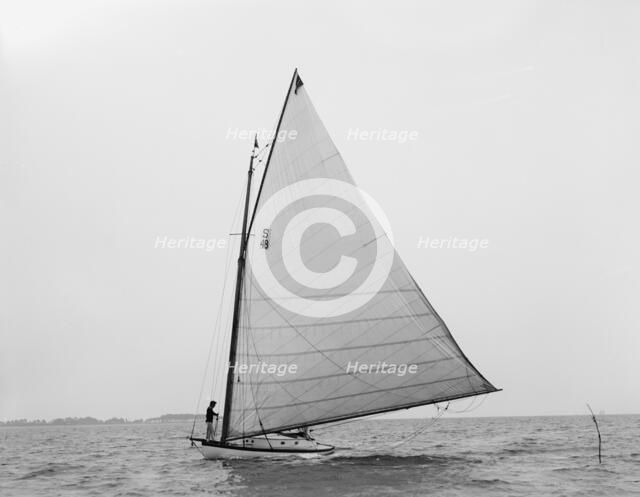 Volsung, 1897 June 29. Creator: John S Johnston.